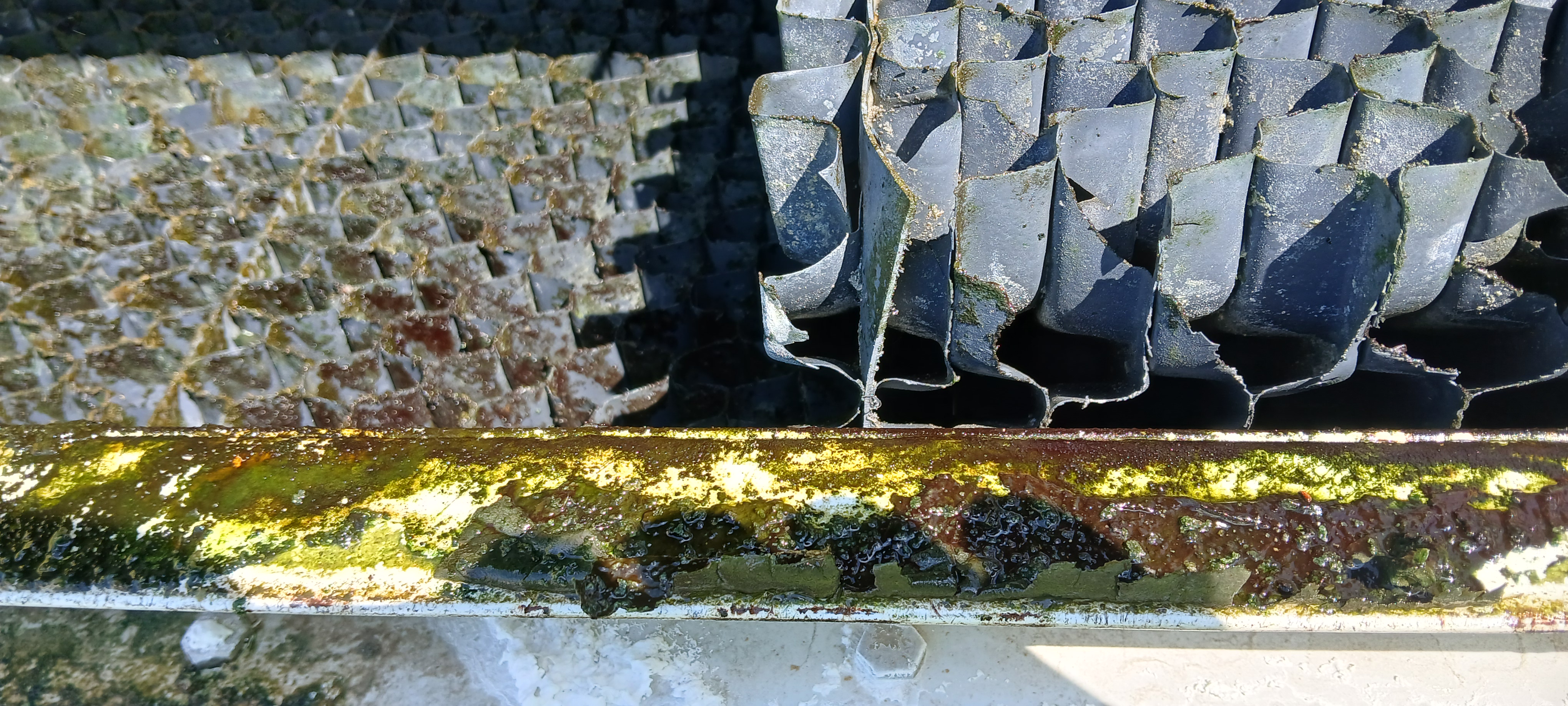 hutotorony-karbantartas-tisztitas-legionella.jpg (2.56 MB)